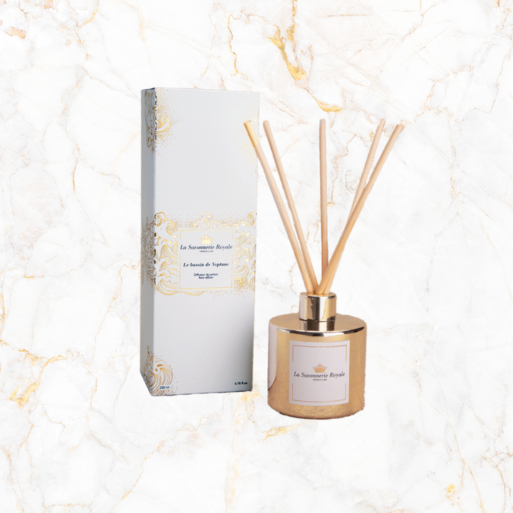 Diffuseur Le bassin de Neptune