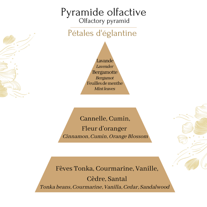 Bougie Royale Pétales d'églantine