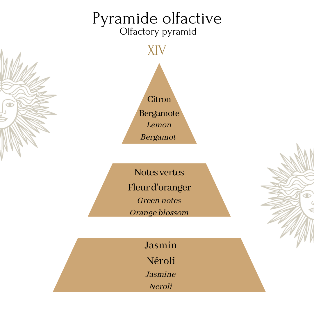 Bougie Royale XIV